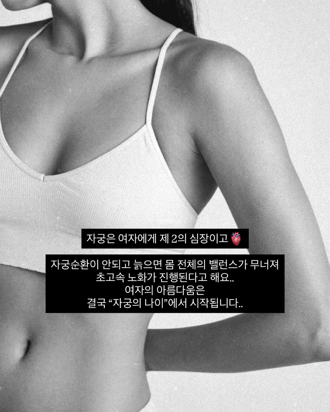 성총사 비스마르크 6