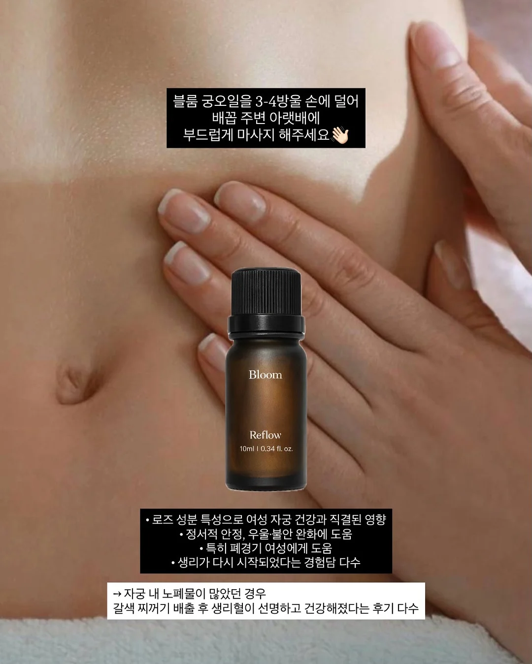 성총사 비스마르크 7