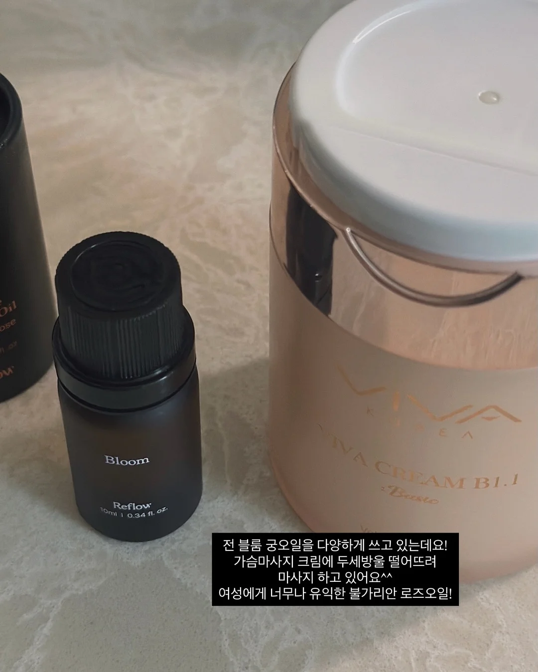성총사 비스마르크 8
