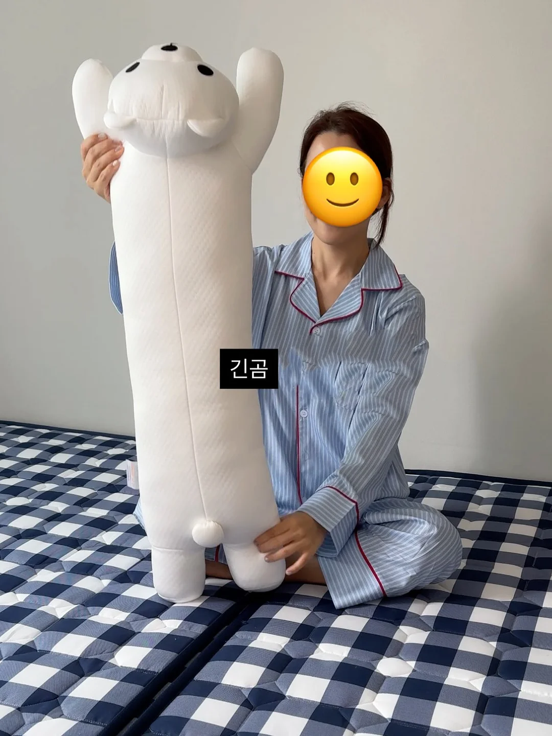 알프스 전통 요거트 2