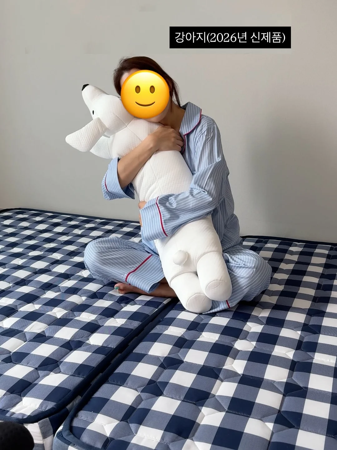 알프스 전통 요거트 3