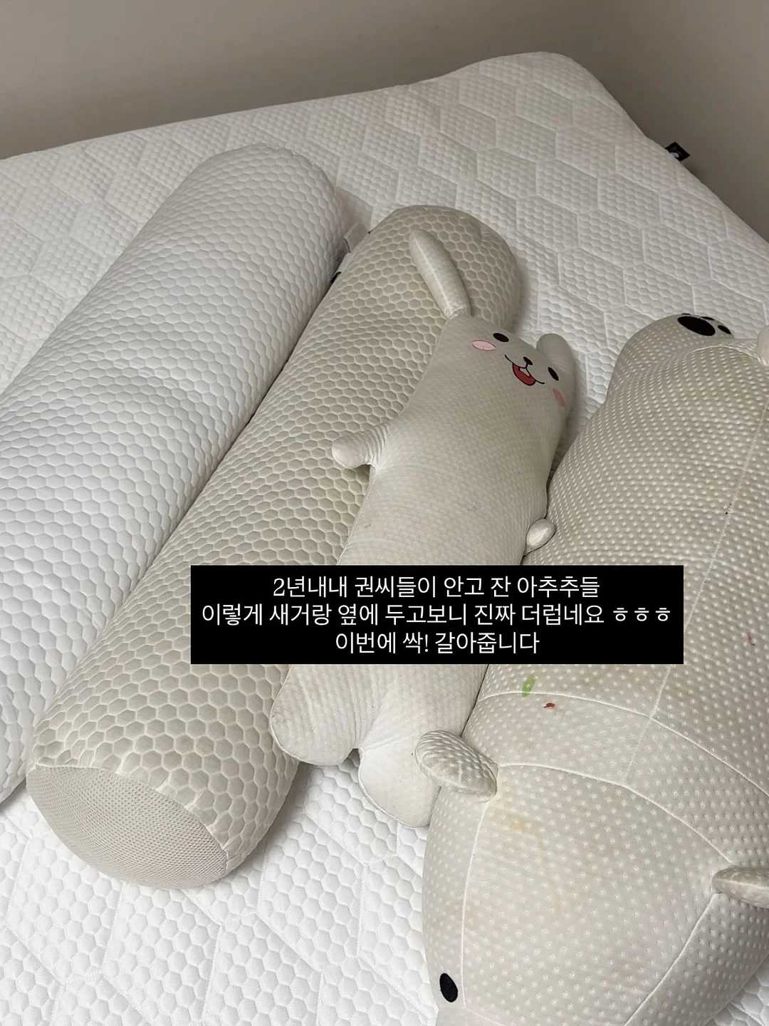 알프스 전통 요거트 9