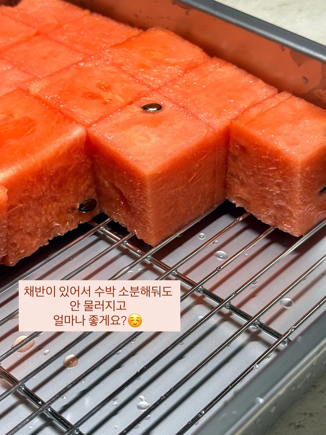 브리미어 오메가3 6