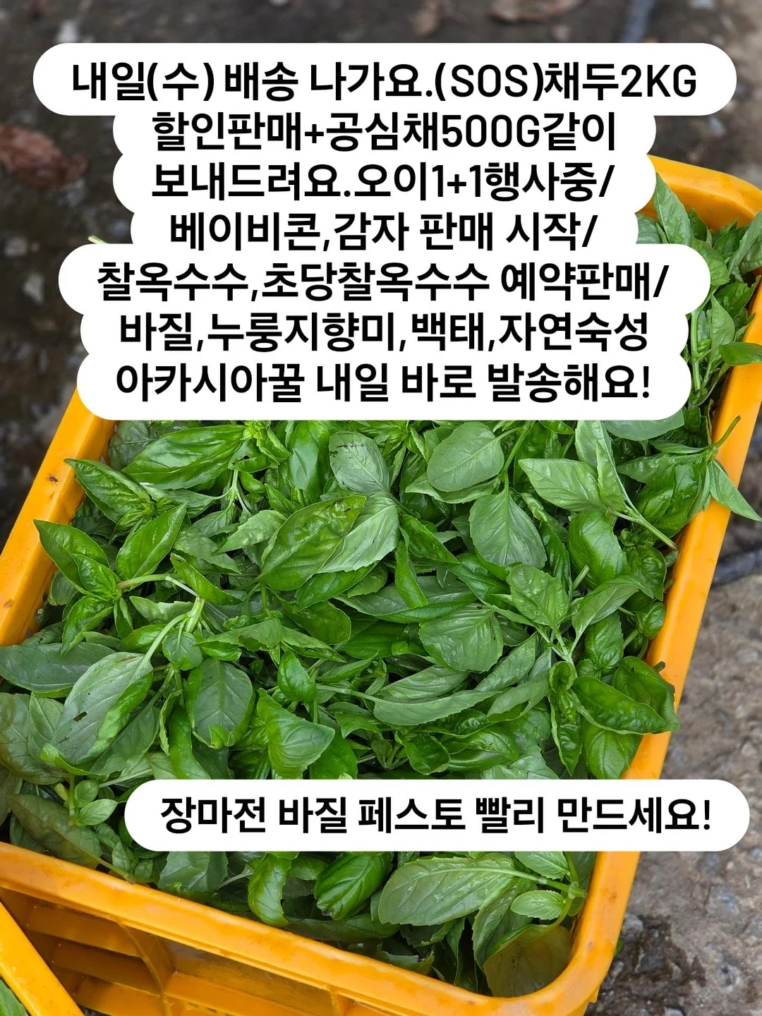 리프팅 스피커 1