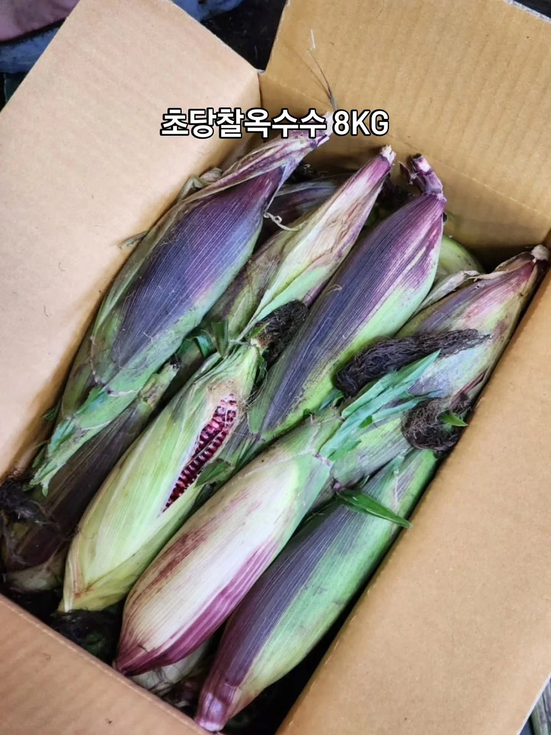 리프팅 스피커 11