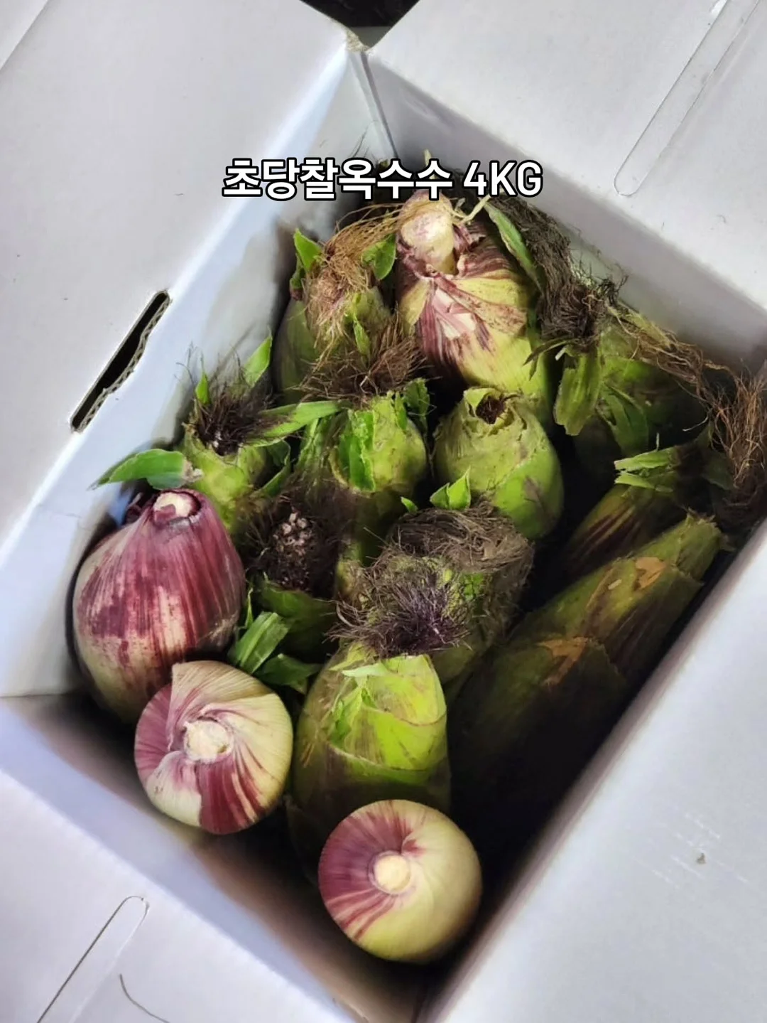 리프팅 스피커 12