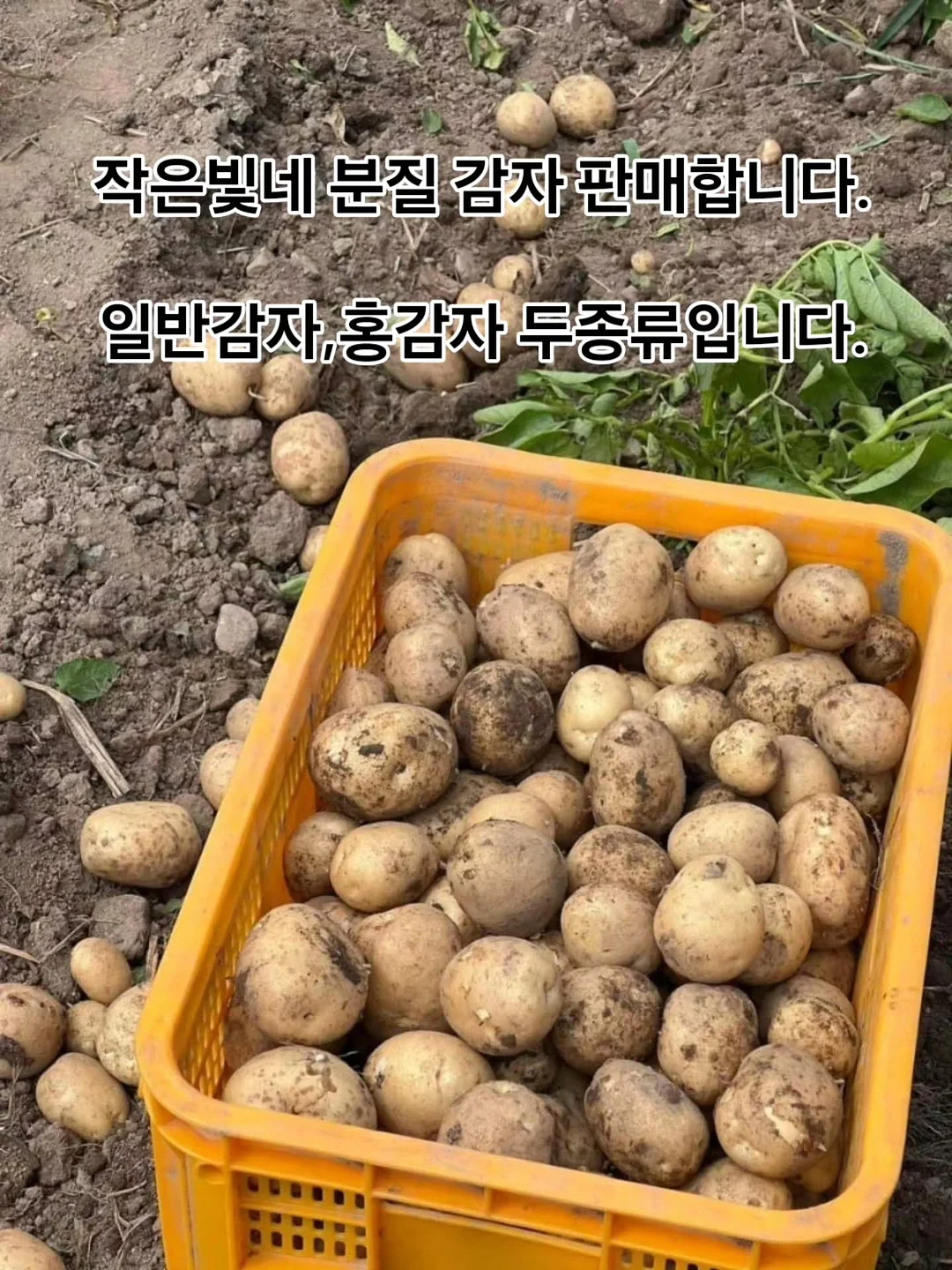 리프팅 스피커 18
