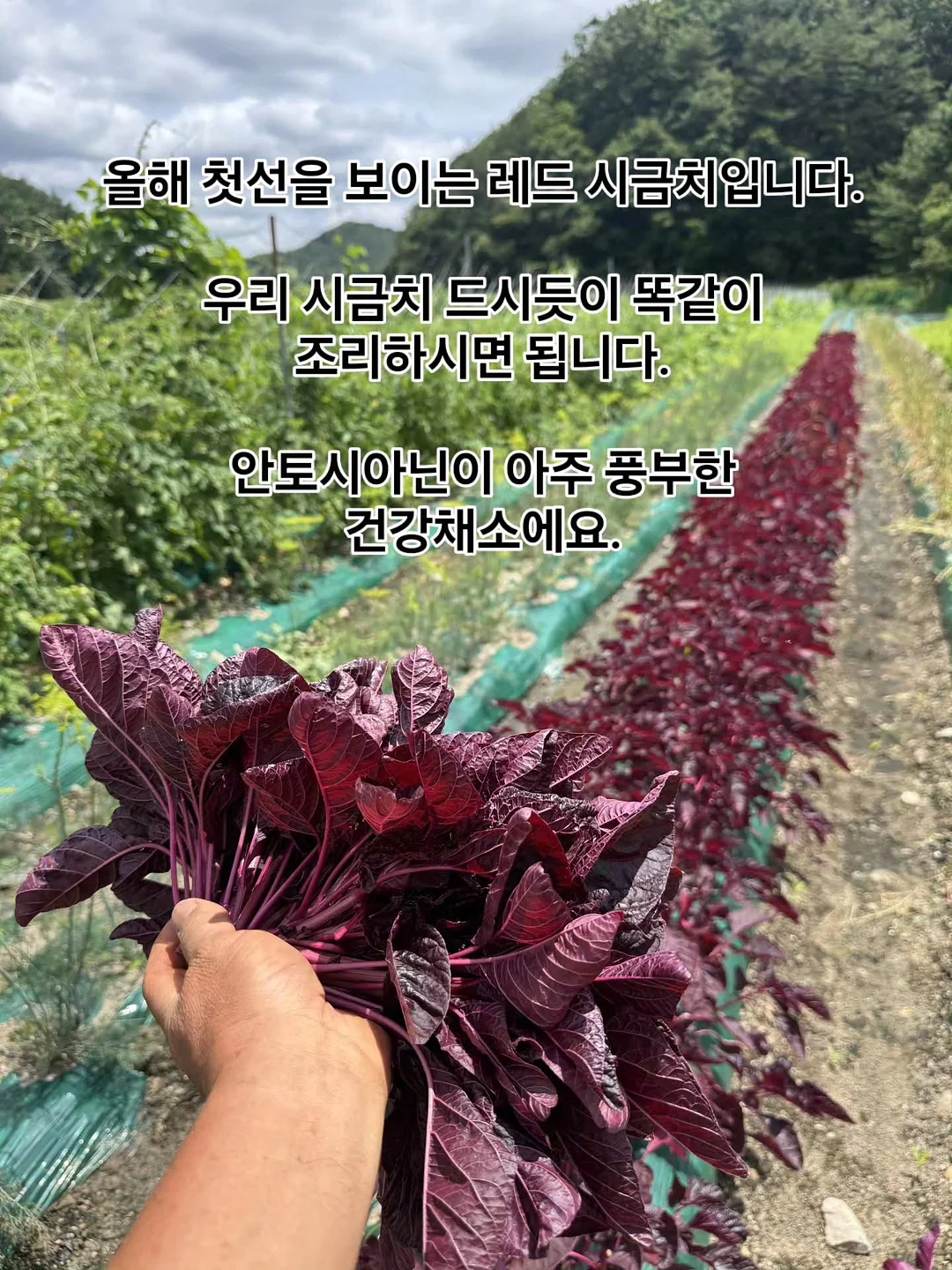리프팅 스피커 19