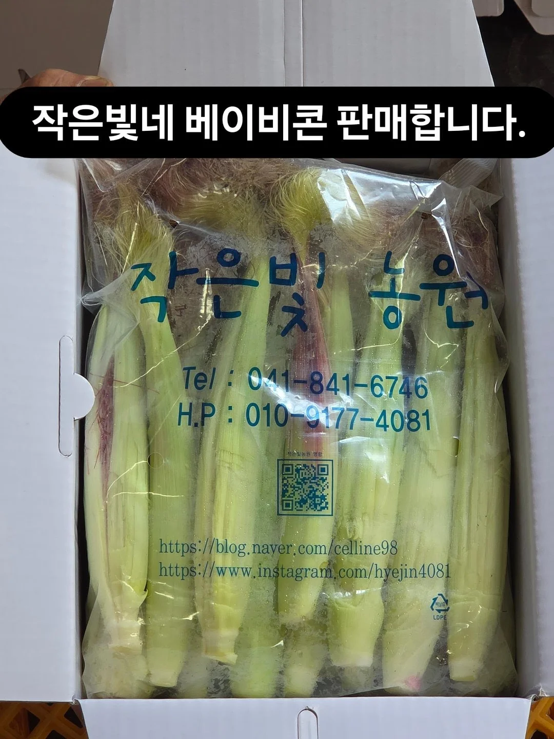 리프팅 스피커 6