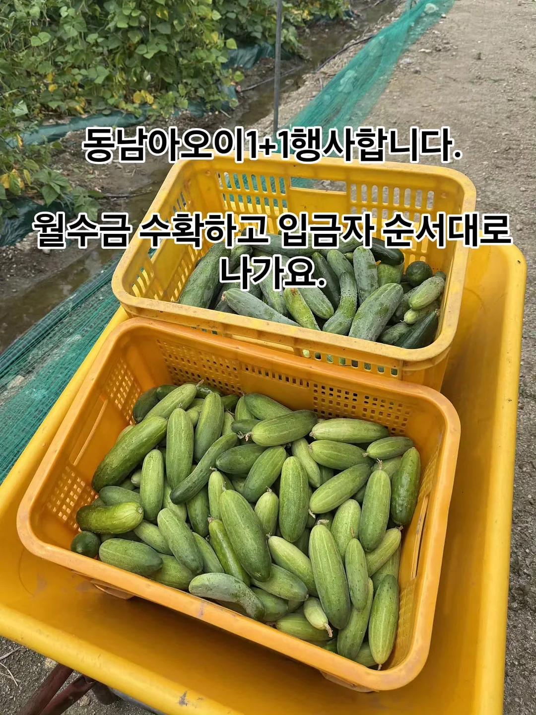 리프팅 스피커 7