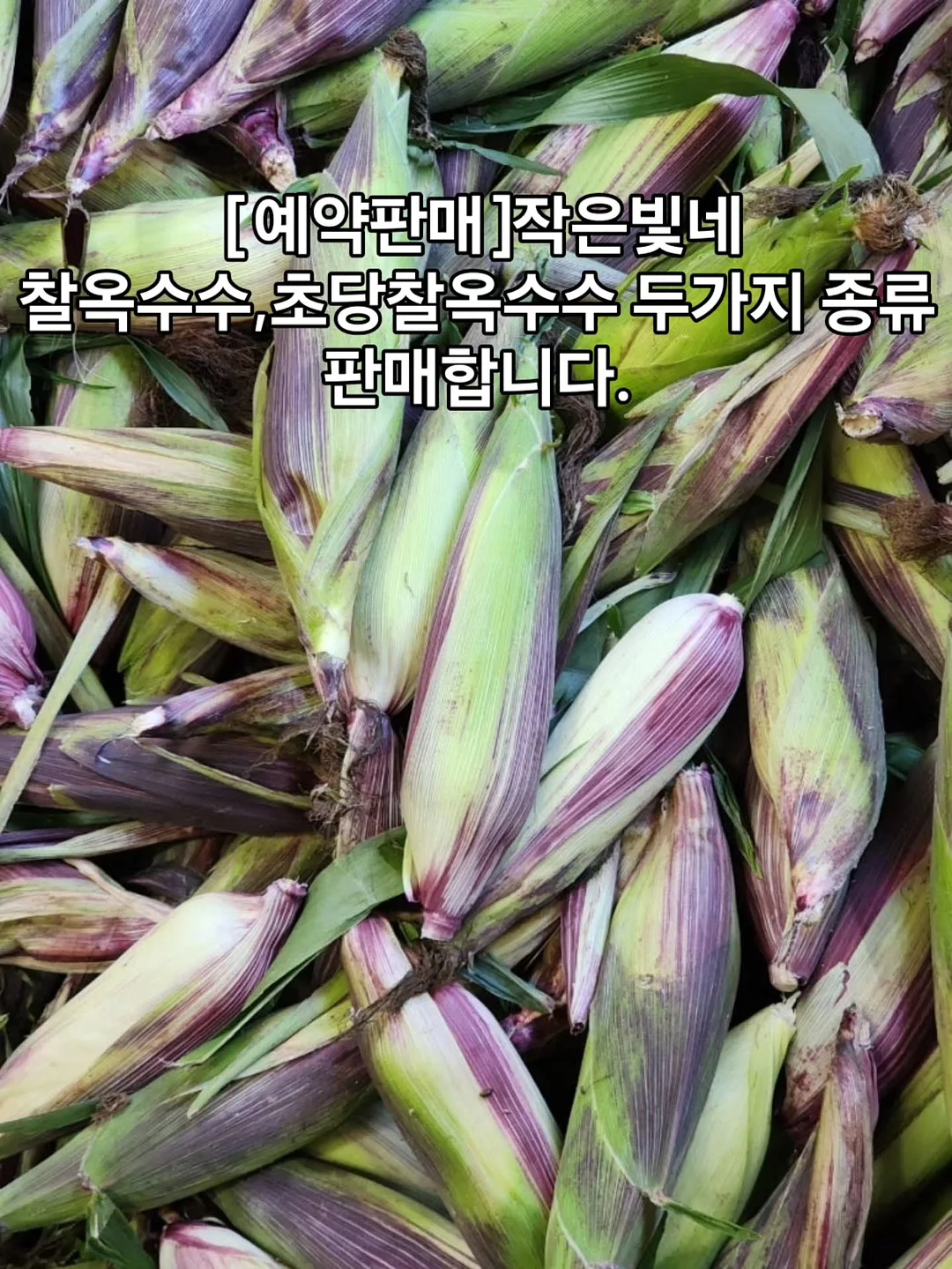 리프팅 스피커 9