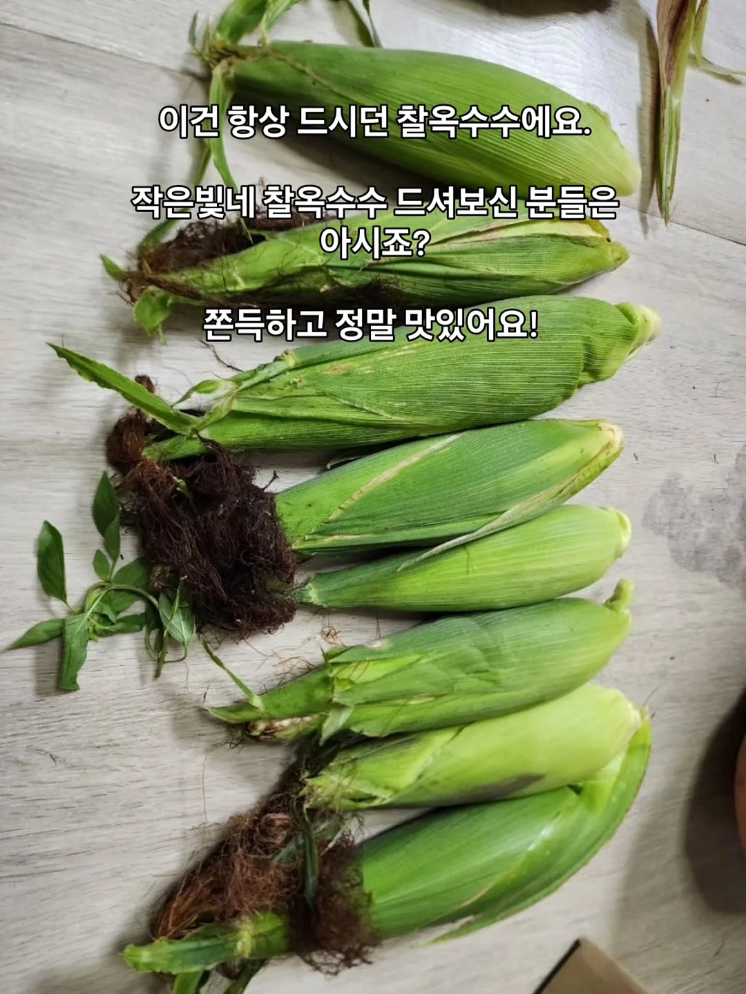 리프팅 스피커 10