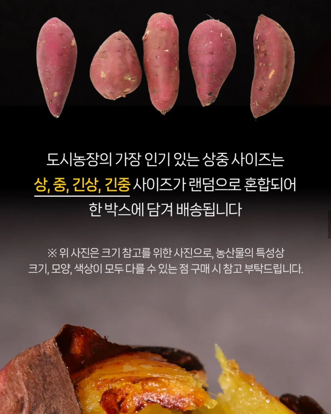 YURE 아이렛 슬리브리스 10