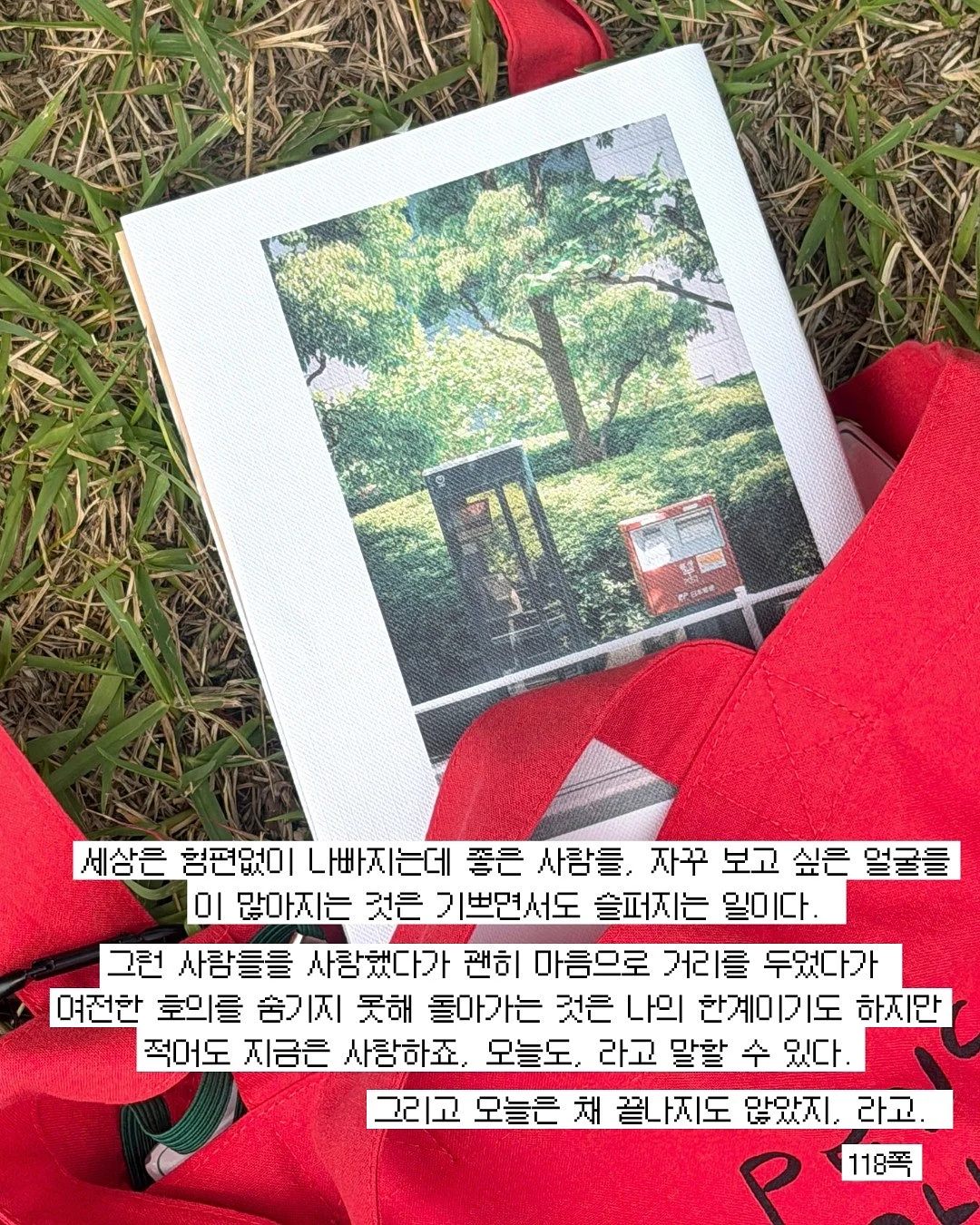 카티아조 레이스 브로드리 드레스 2