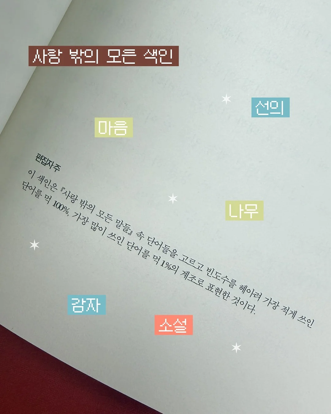 카티아조 레이스 브로드리 드레스 5