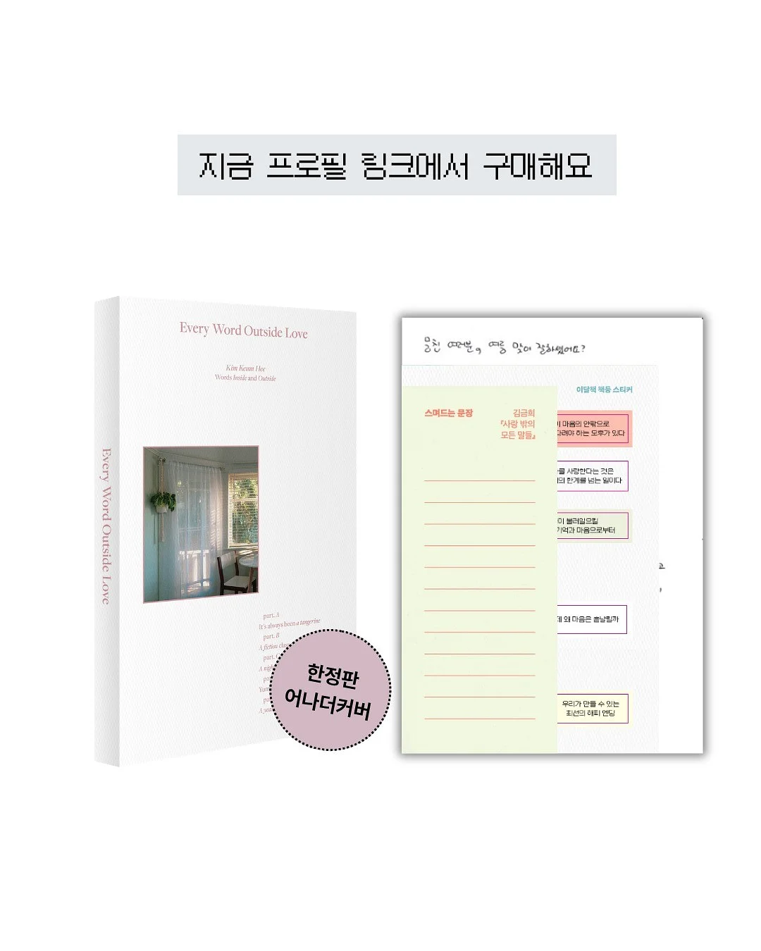 카티아조 레이스 브로드리 드레스 6