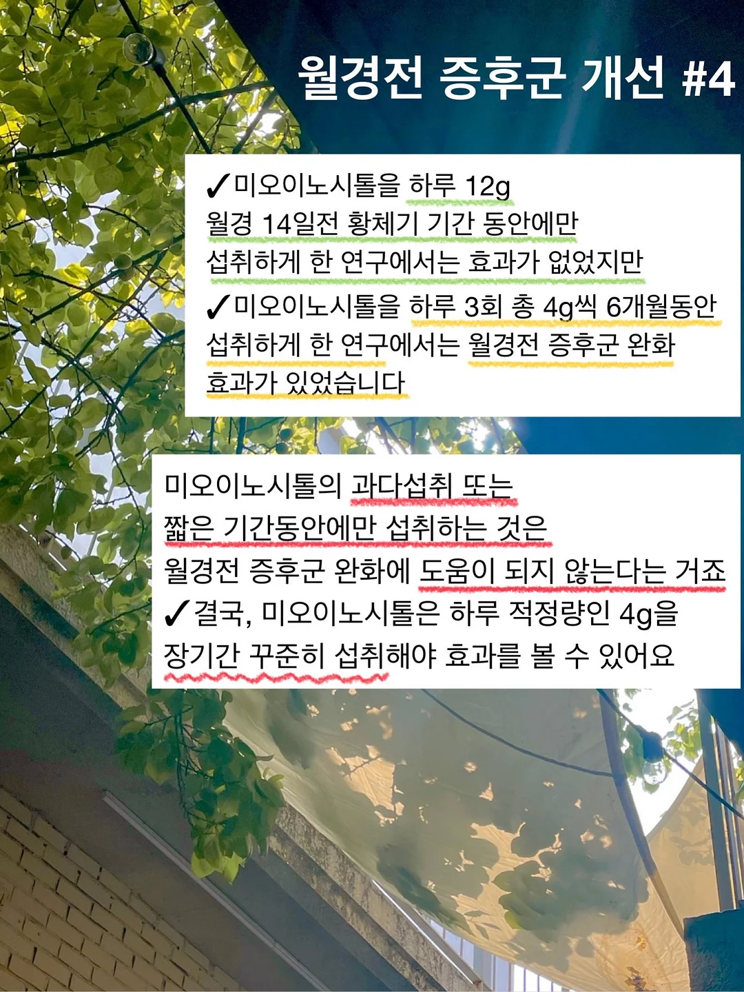 오토도어스토퍼 11