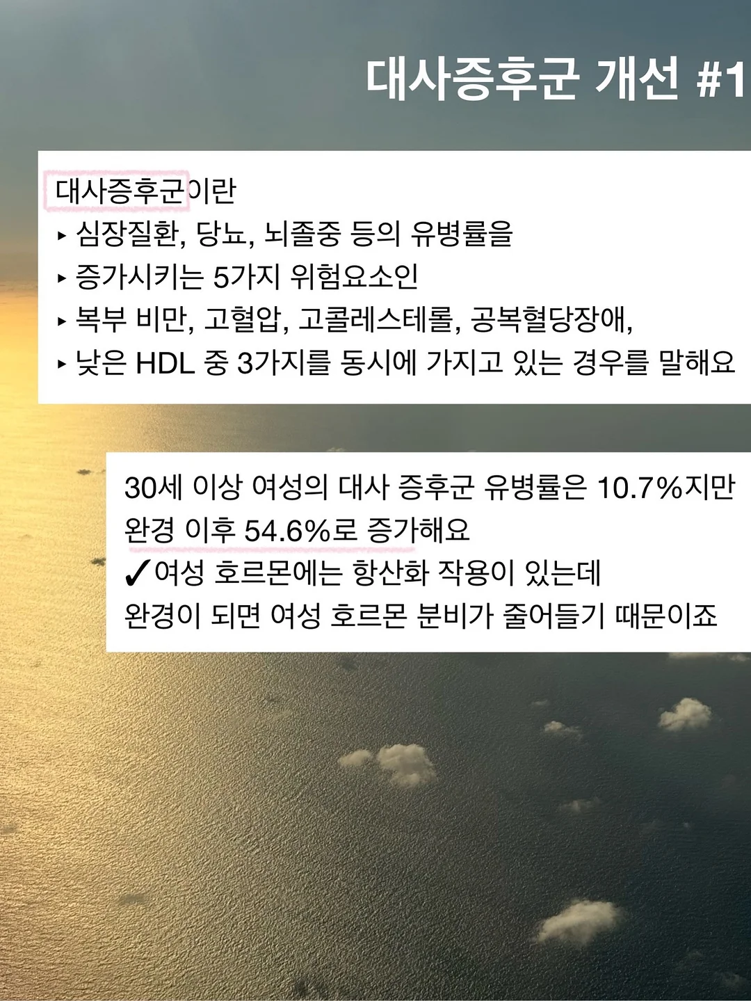 오토도어스토퍼 2