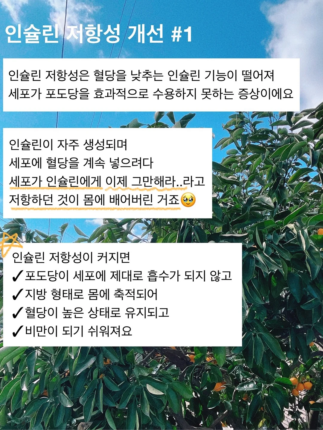 오토도어스토퍼 4