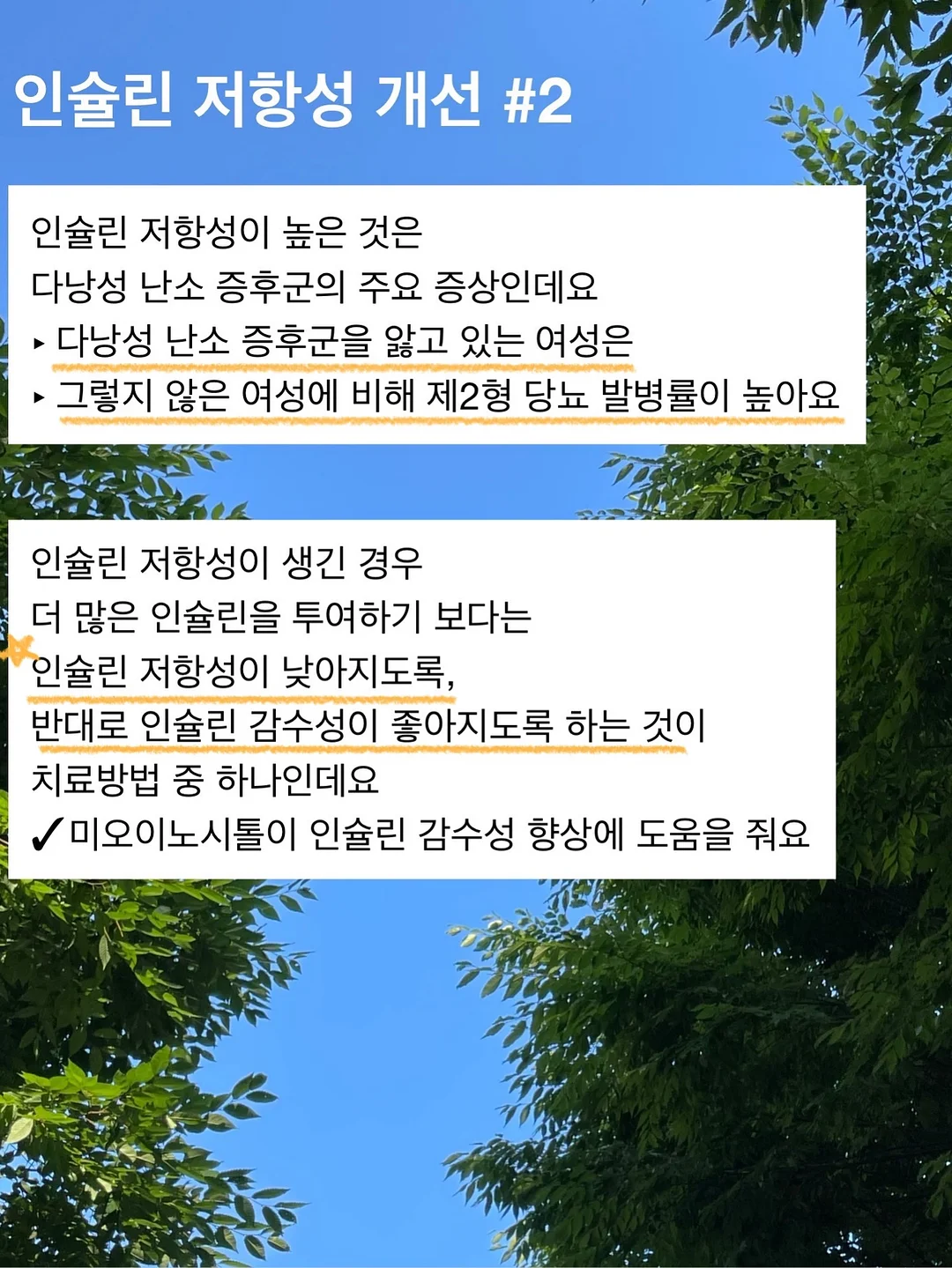 오토도어스토퍼 5