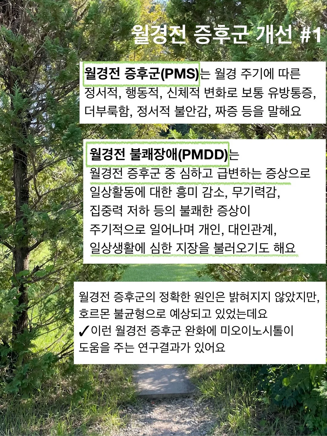 오토도어스토퍼 8