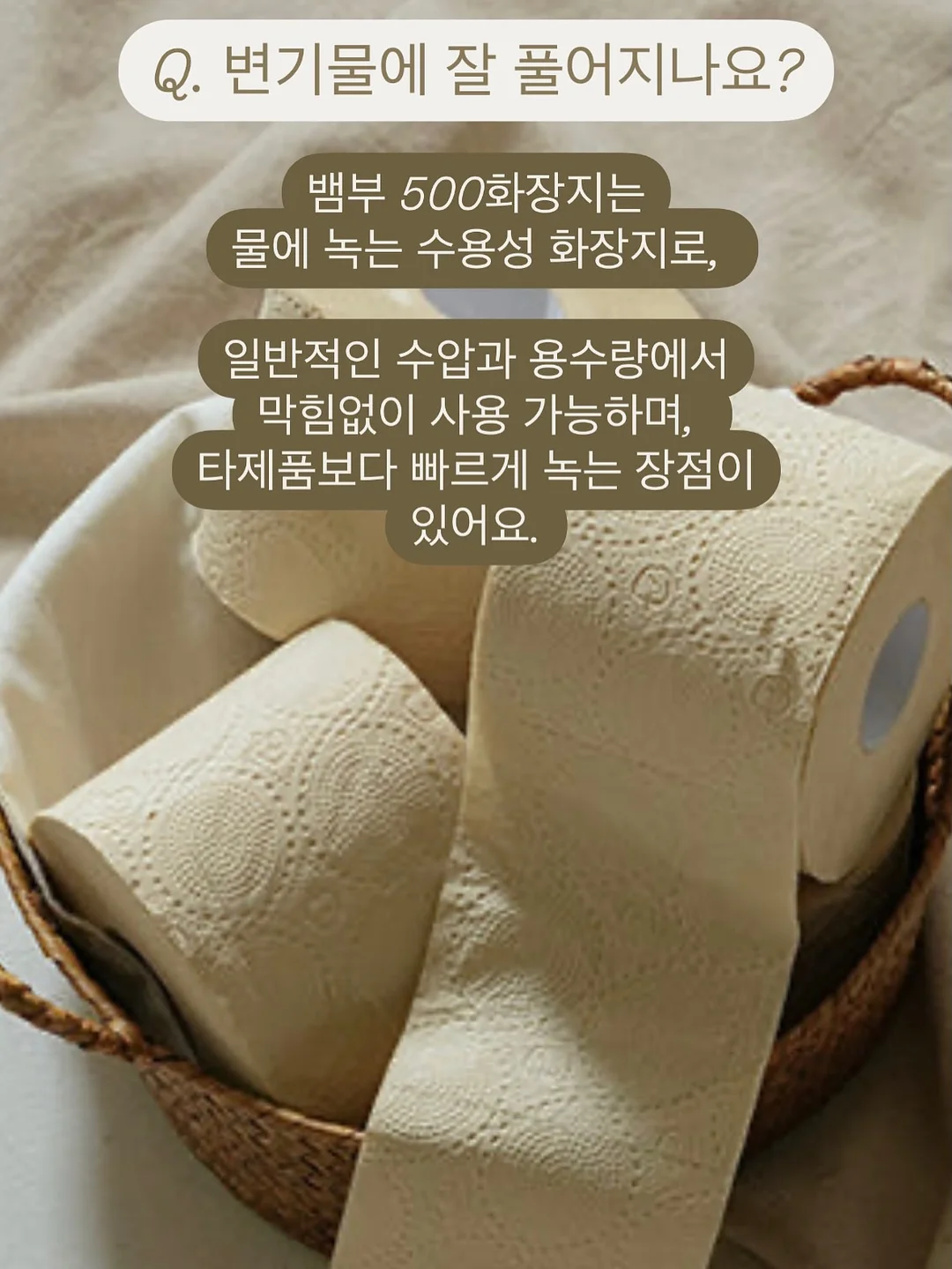 습식청소기 11