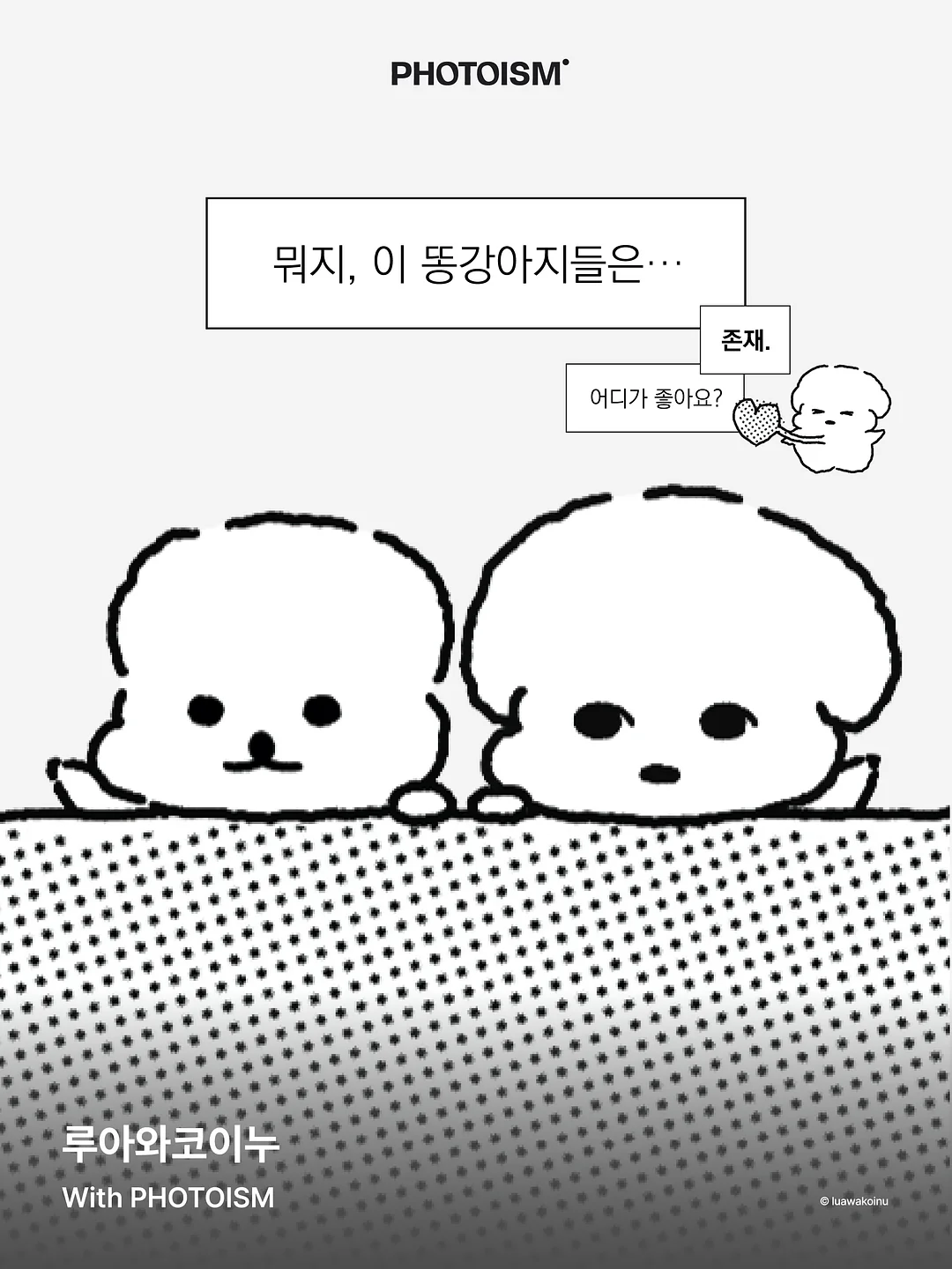 토마토 마운자로 레시피 1