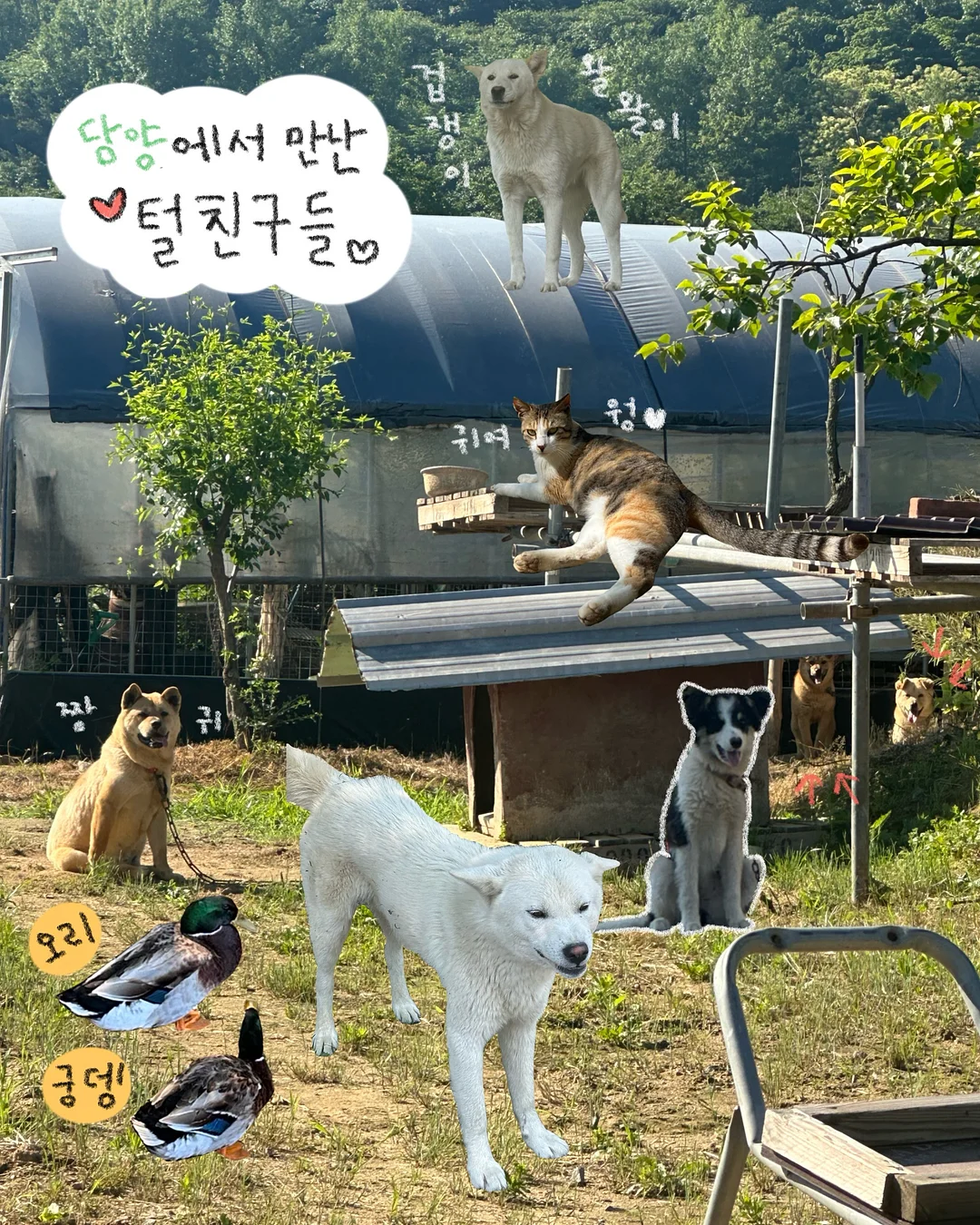 미역 11