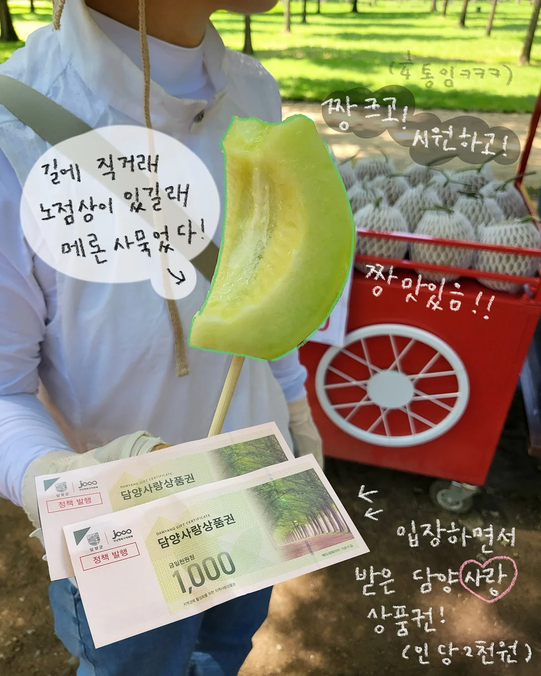 미역 5