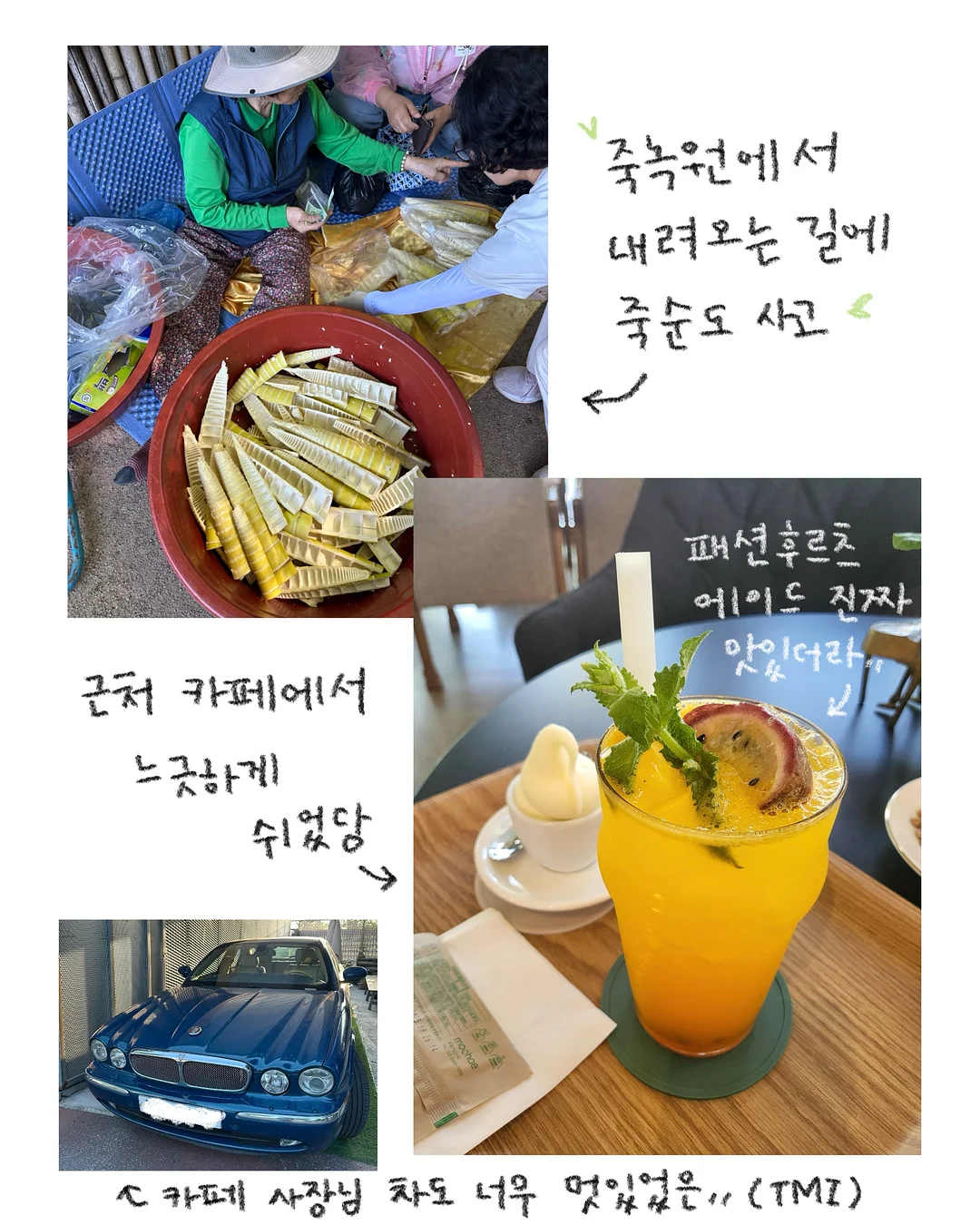 미역 6