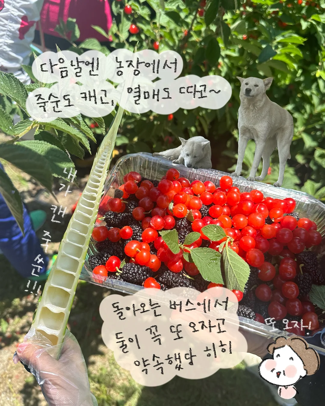 미역 10