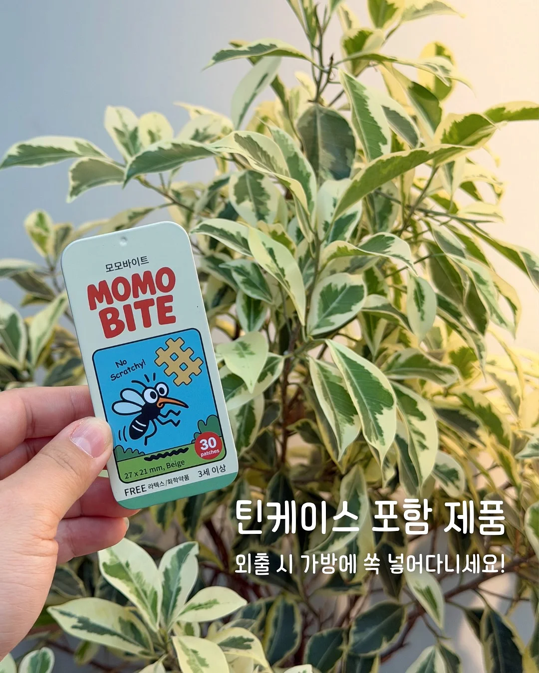 계란 삶는 펭귄 틀 6