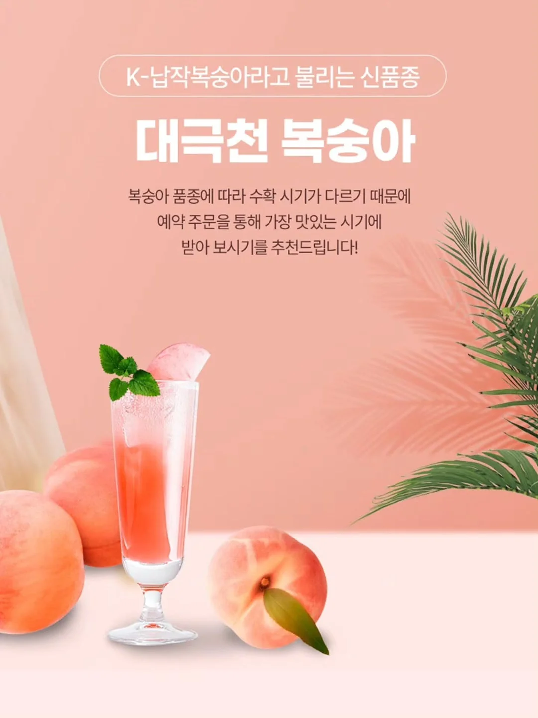 실링팬 조명 일체형 5