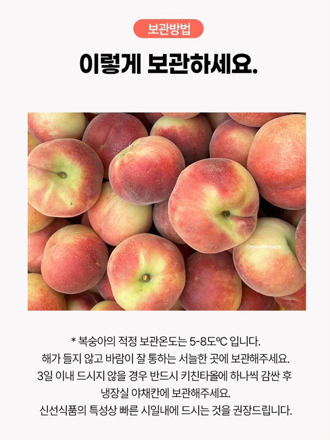 실링팬 조명 일체형 8