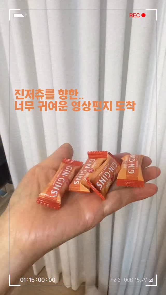 더스트라 먼지털이