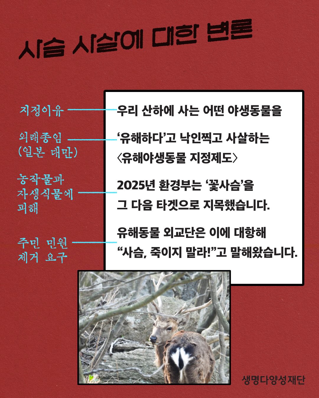 빈티지 케이크 2