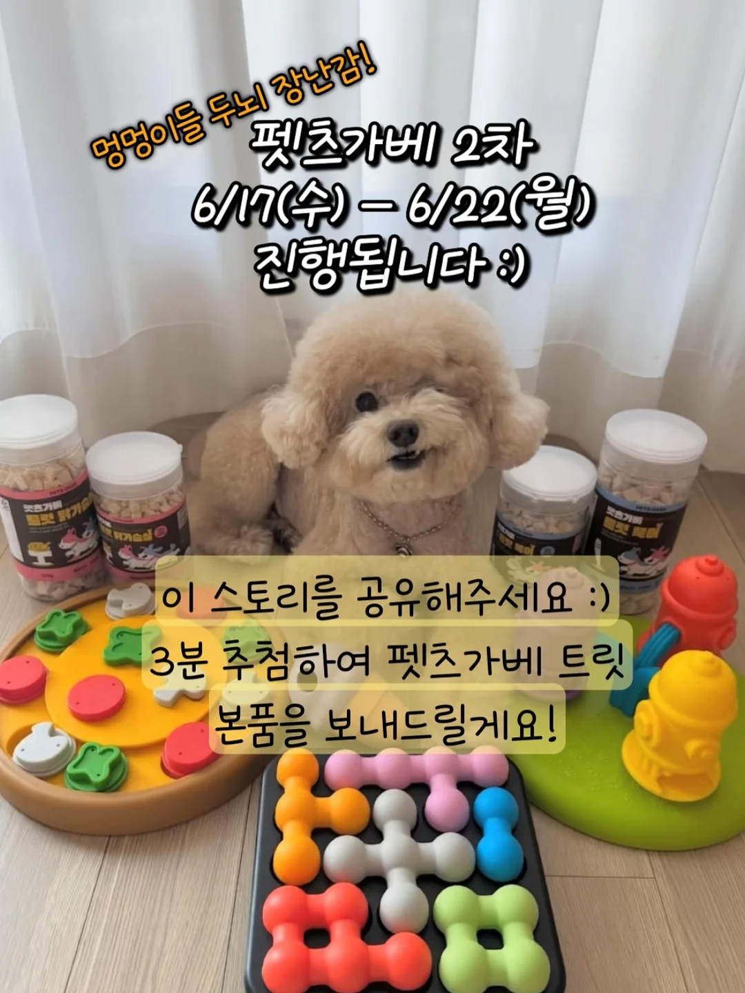 먹는 티라미수 컵 1