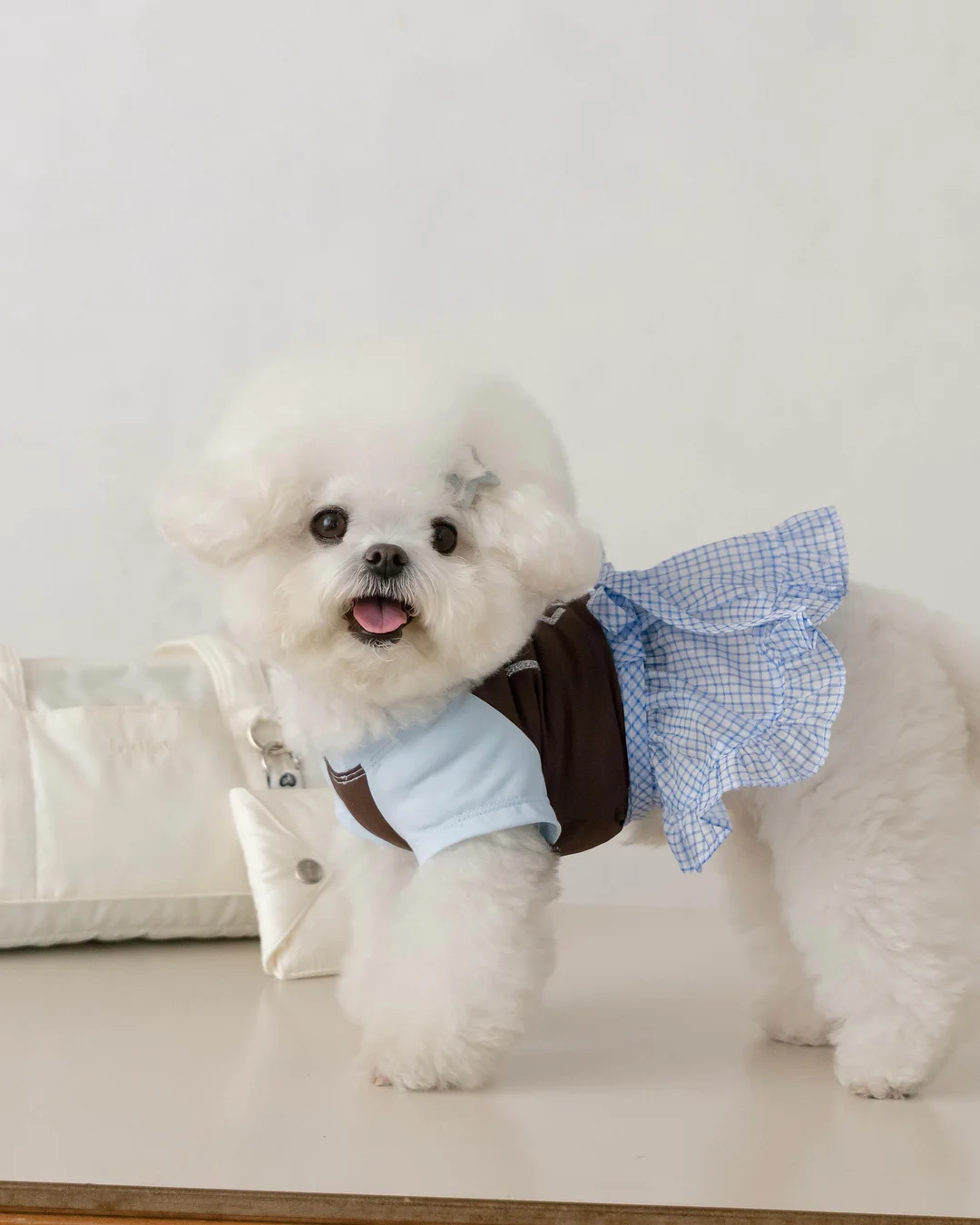 SARTU TYE TOTE BAG 1