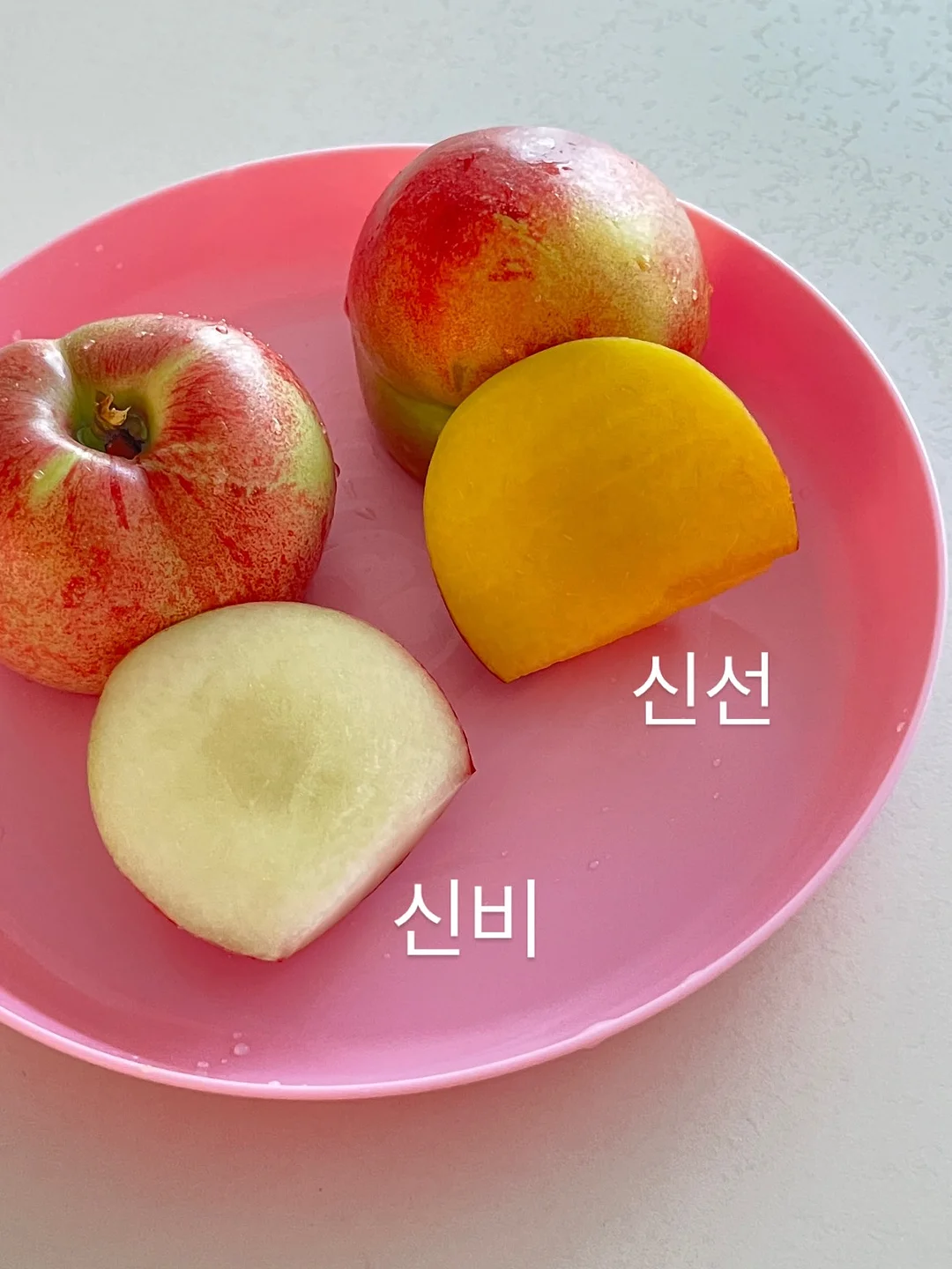 하트&곰 쌀마들렌 온라인 수업 3