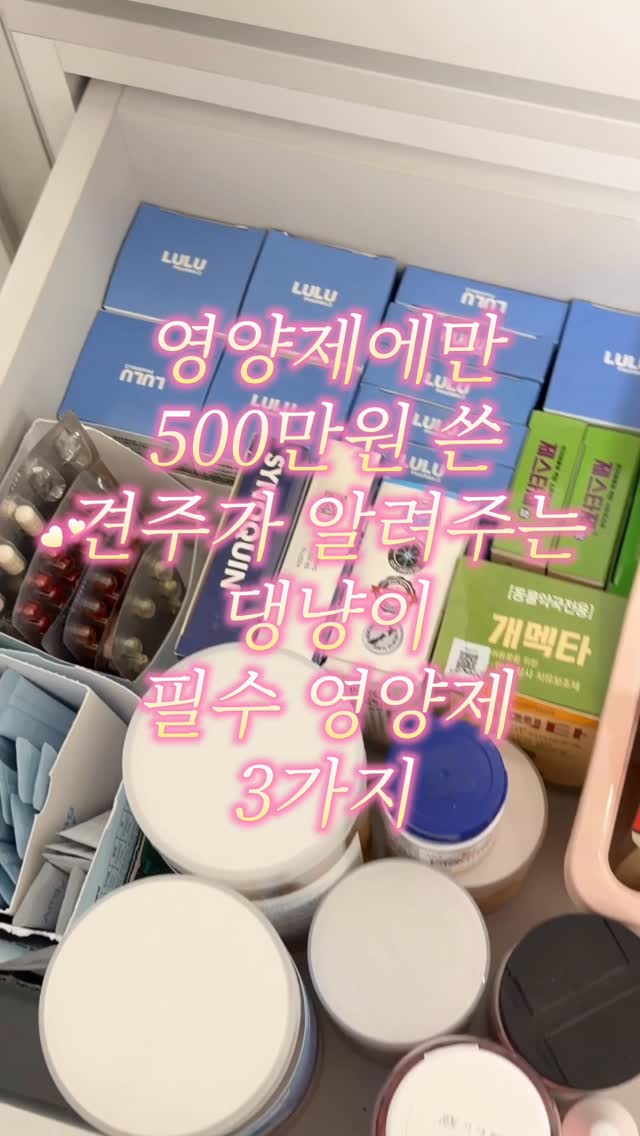 도마