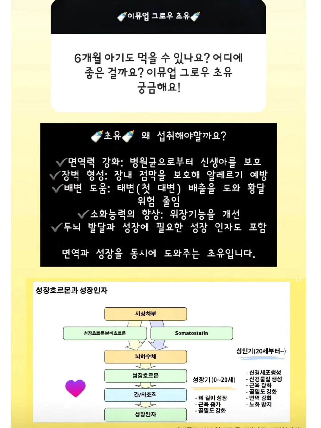 참 좋은 어린이 도감 10