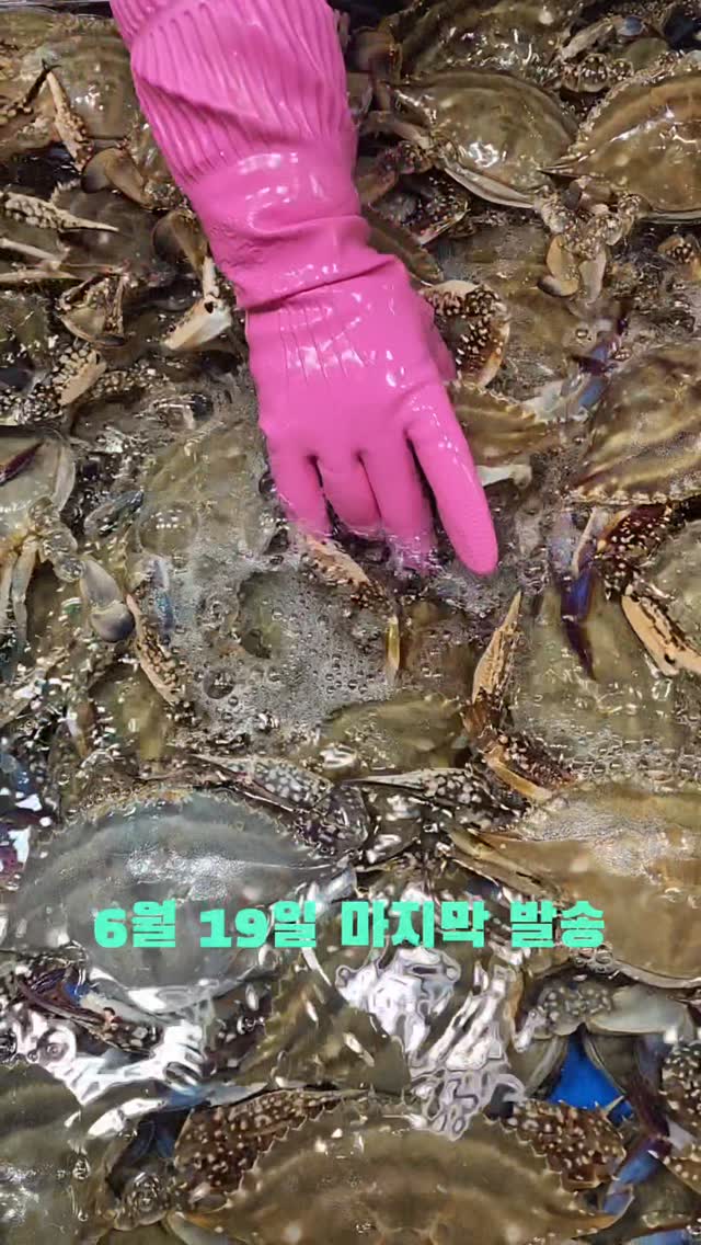 꼬임셋업 나시+스커트세트