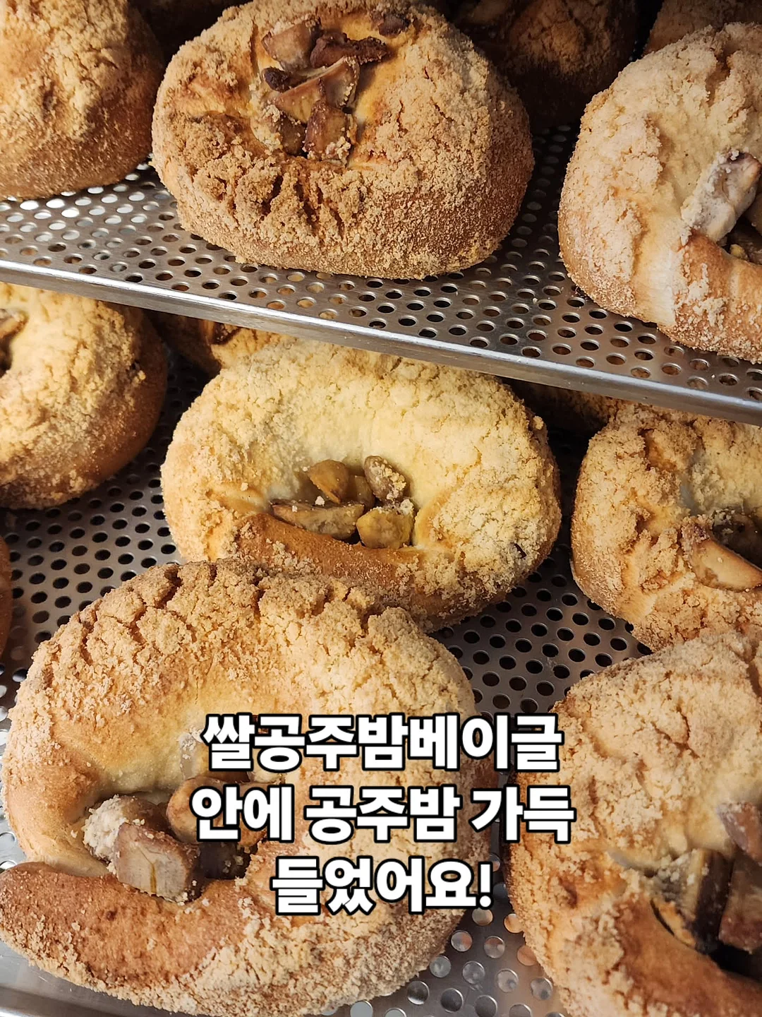 대형 캔들라브라 Skill-up course 7