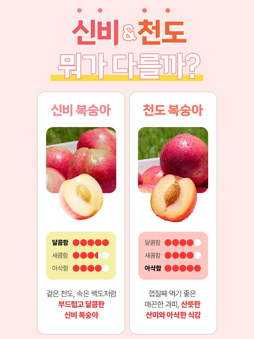 xenohelix miPDRN 앰플 2