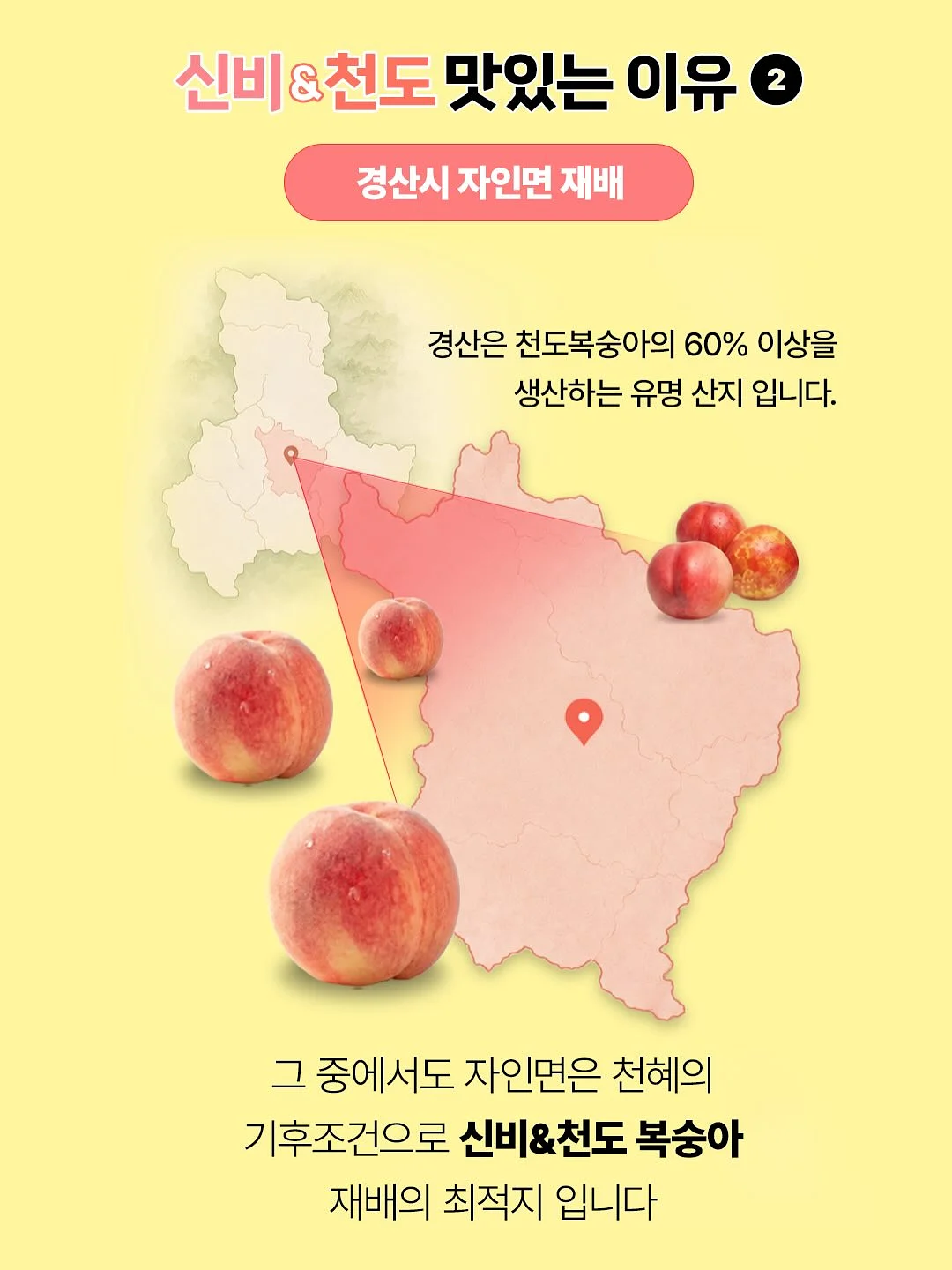 xenohelix miPDRN 앰플 4