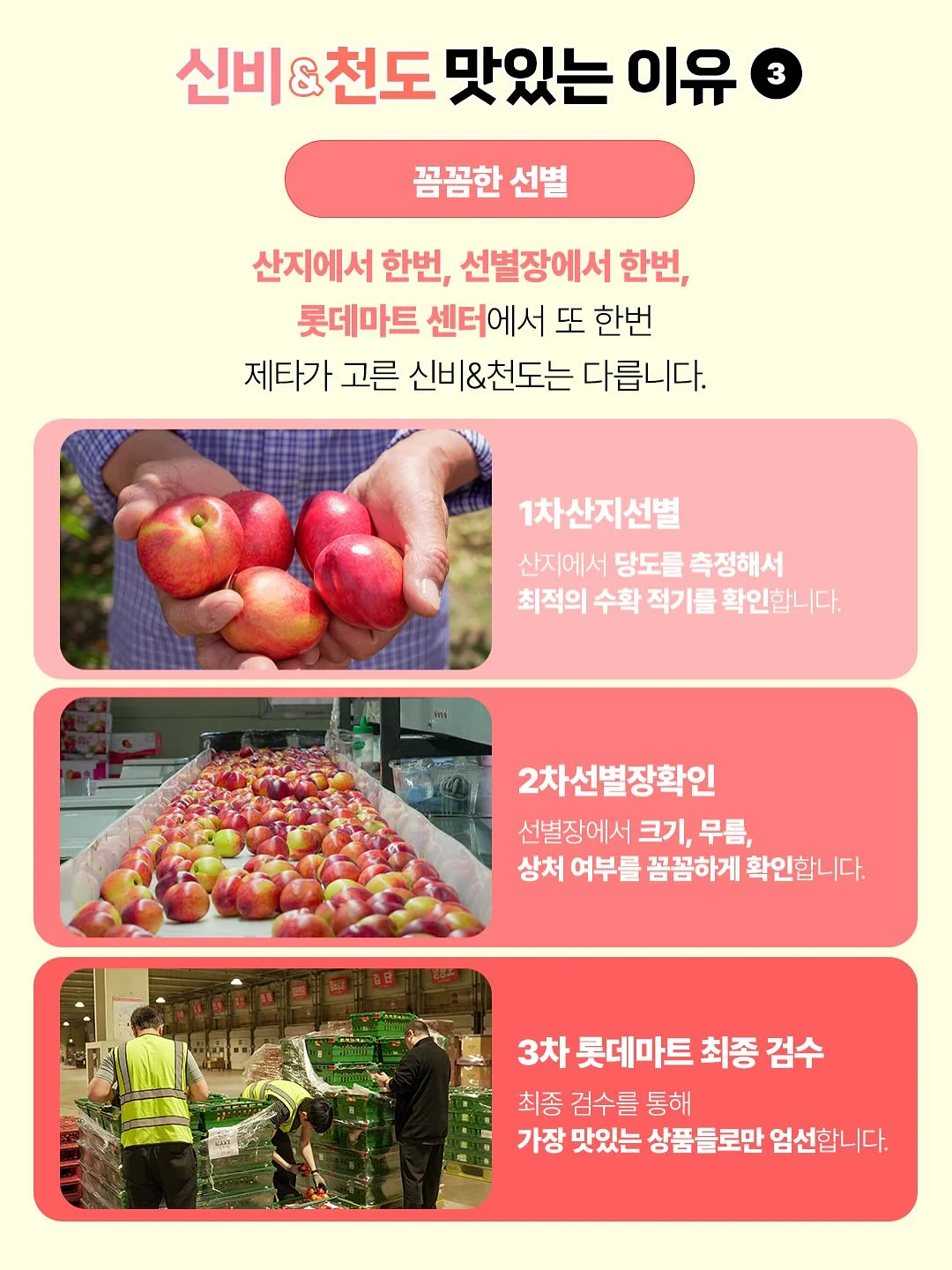 xenohelix miPDRN 앰플 5