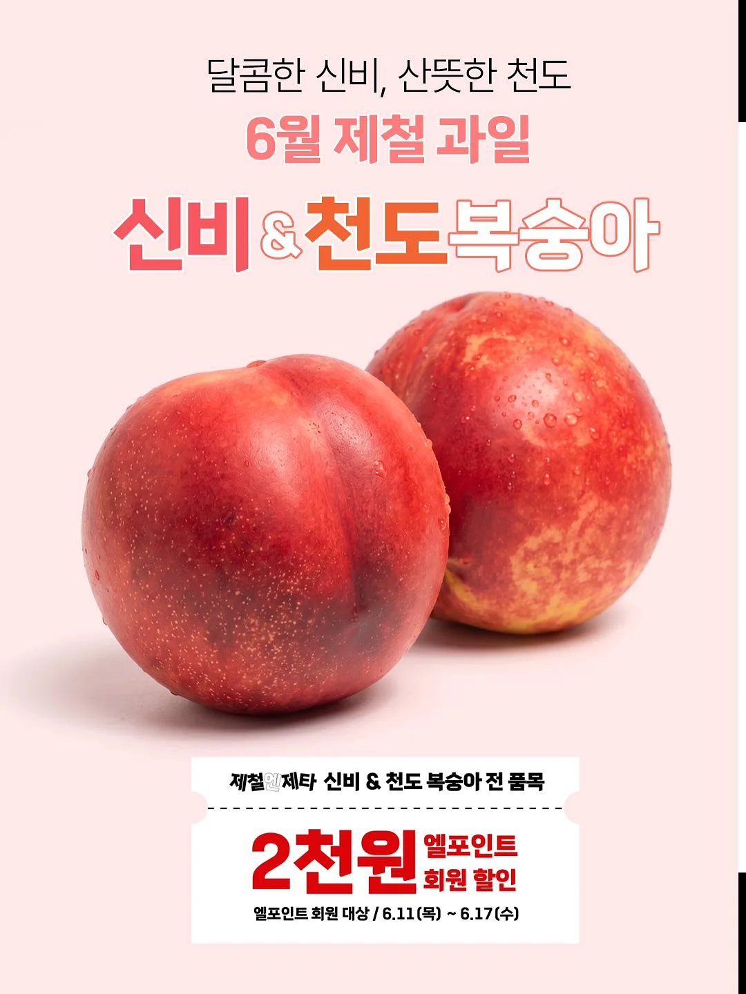 xenohelix miPDRN 앰플 6