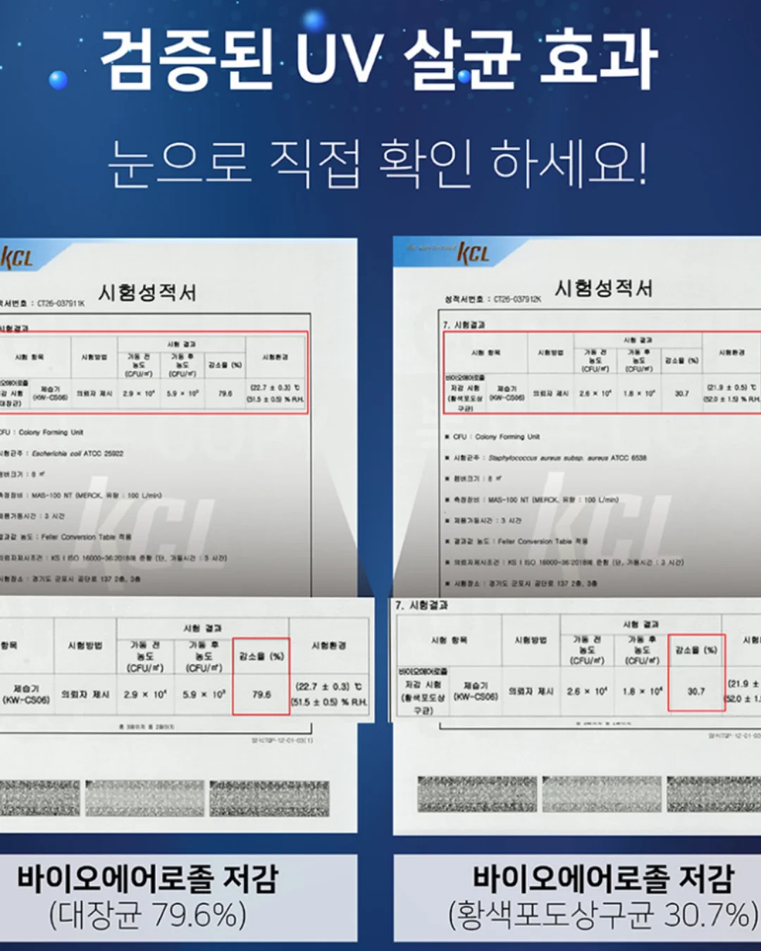 2단 케이크 17
