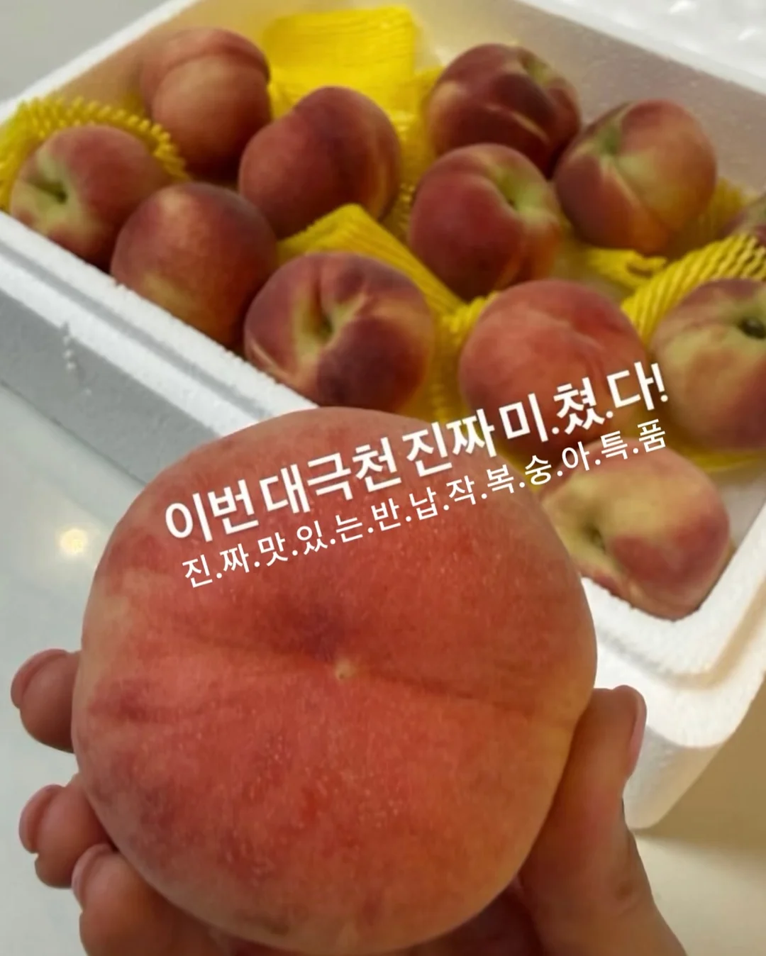 2단 케이크 3