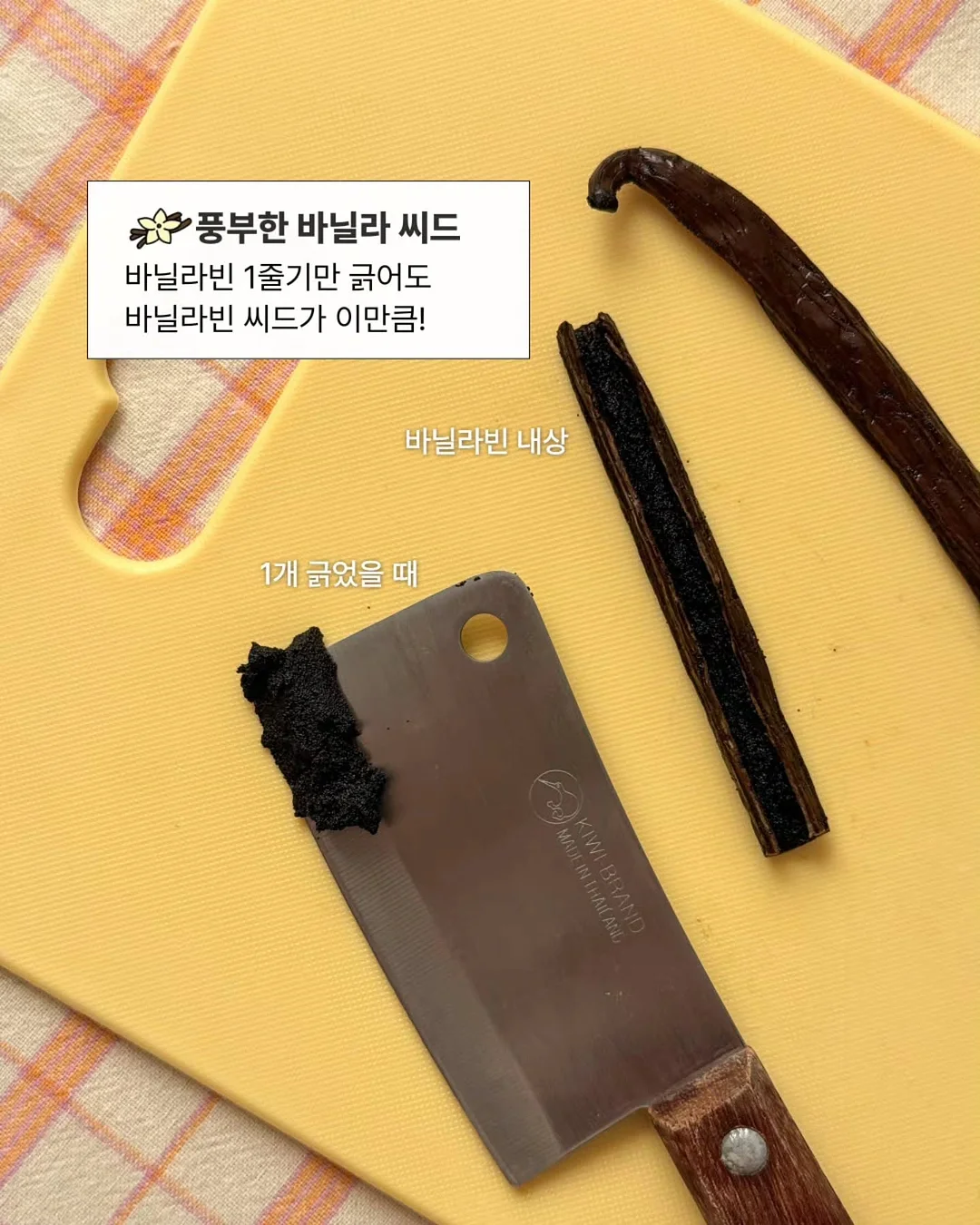 레고 신체 해부학 모델 3